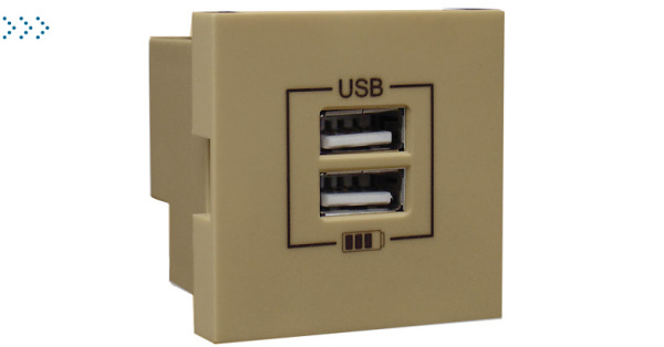Двойная USB розетка, цвет золото Двойная USB розетка, цвет золото